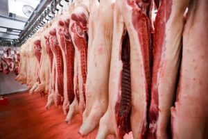 How Hydraulic Hock and Horn Cutters Enhance Safety and Efficiency in Abattoir Operations