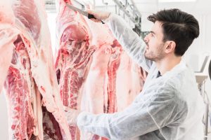 Find Out Why the Automatic Intestine Cutter is Making a Difference in the Meat Industry