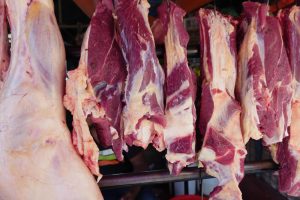 Choosing the Right Abattoir Equipment – A Comparison of Kentmaster Products