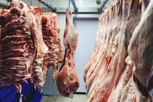 How Kentmaster is Redefining Slaughterhouse Efficiency in the UK and Beyond