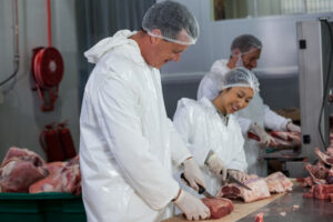 Butcher Knives for Professionals: Top Picks for UK Abattoirs and Butcher Shops